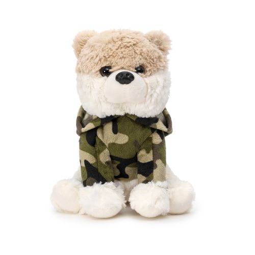 Cachorrinho Lulu da Pomerânia Com Blusa Militar - UNICO