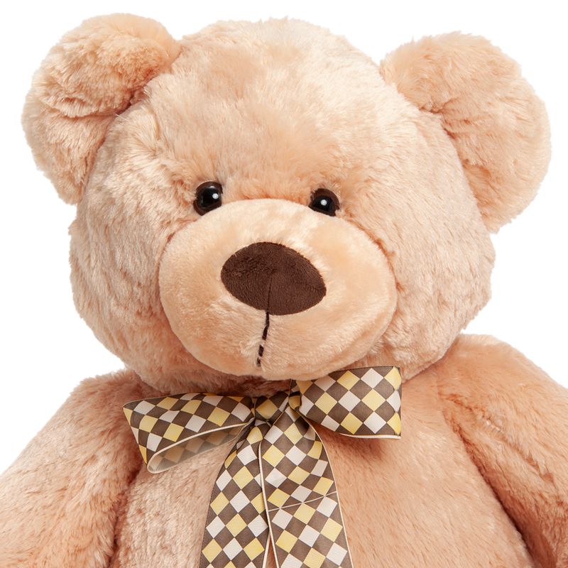 14010117_1100_2-PELUCIA-URSO-JAMES