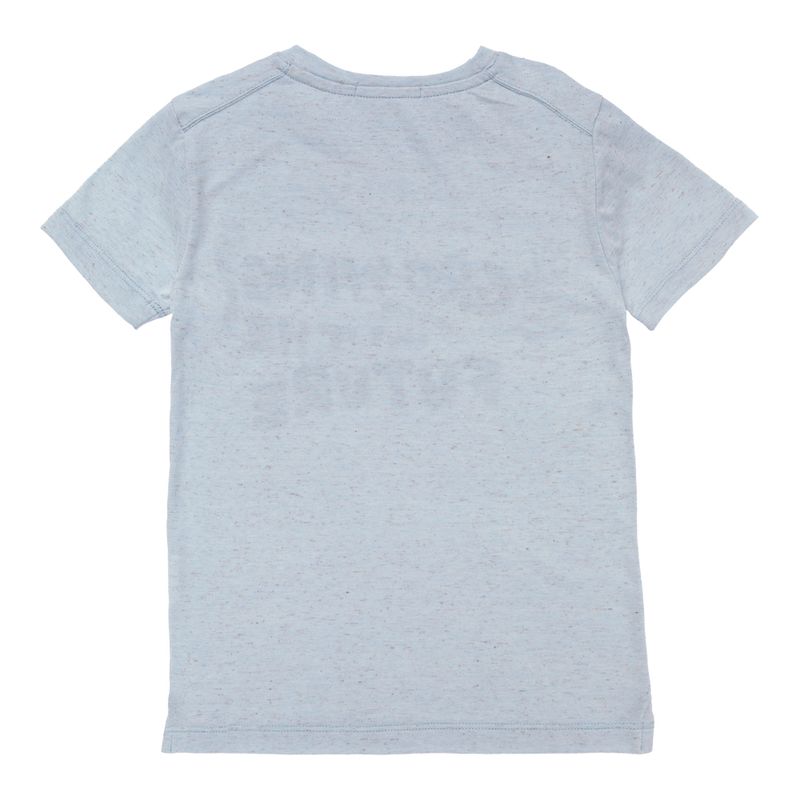 02010910_1023_3-CAMISETA-M-LINHO-C-ESTAMP-GROWING-AZ