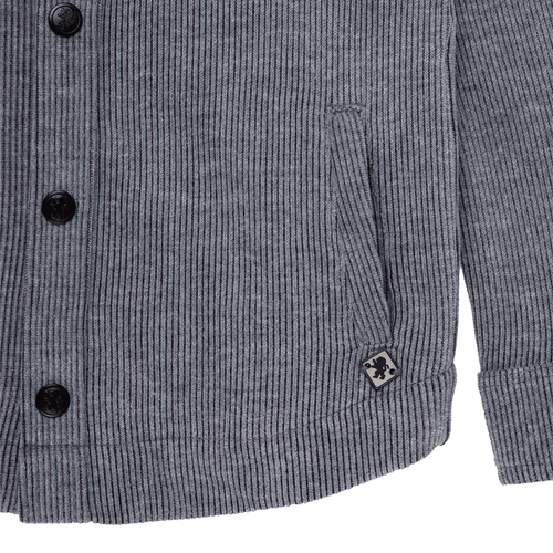 Casaco Infantil Masculino Tricot Astor com Capuz - CINZA