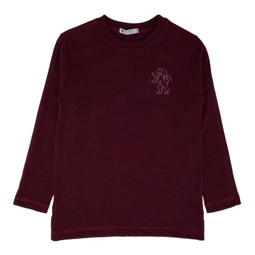 Blusa Malhão Infantil Masculina Manga Longa - BORDO