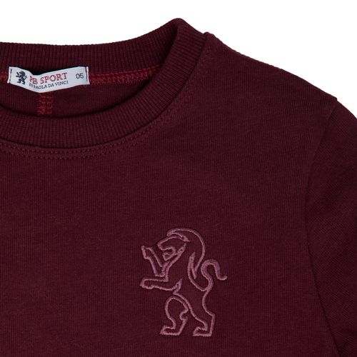 Blusa Malhão Infantil Masculina Manga Longa - BORDO