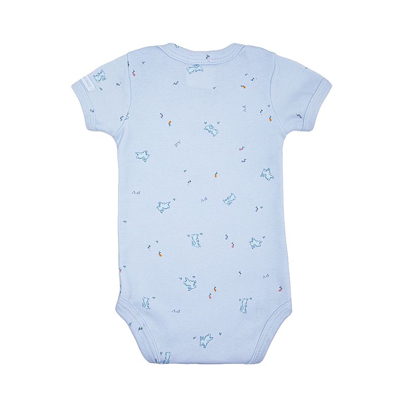 09010115_1019_3-BODY-MG-C-SUED-COELHOS-AZUL
