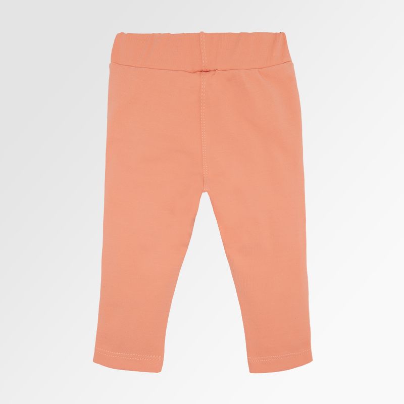 03100184_1070_3-LEGGING-BB-SUPLEX-BOLSO-BABADINHO-SALMON