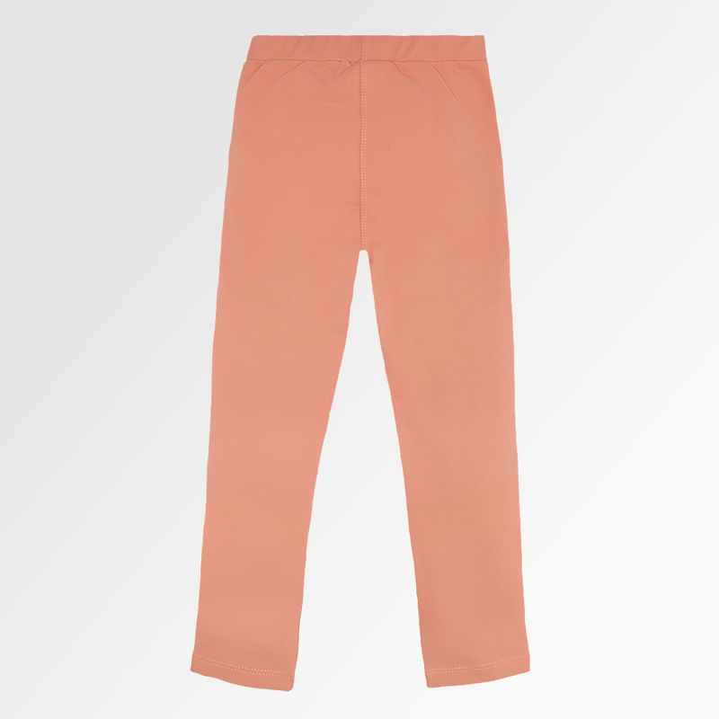 03110167_1070_3-LEGGING-SUPLEX-C-BOLSO-BABADINHO-SALMON