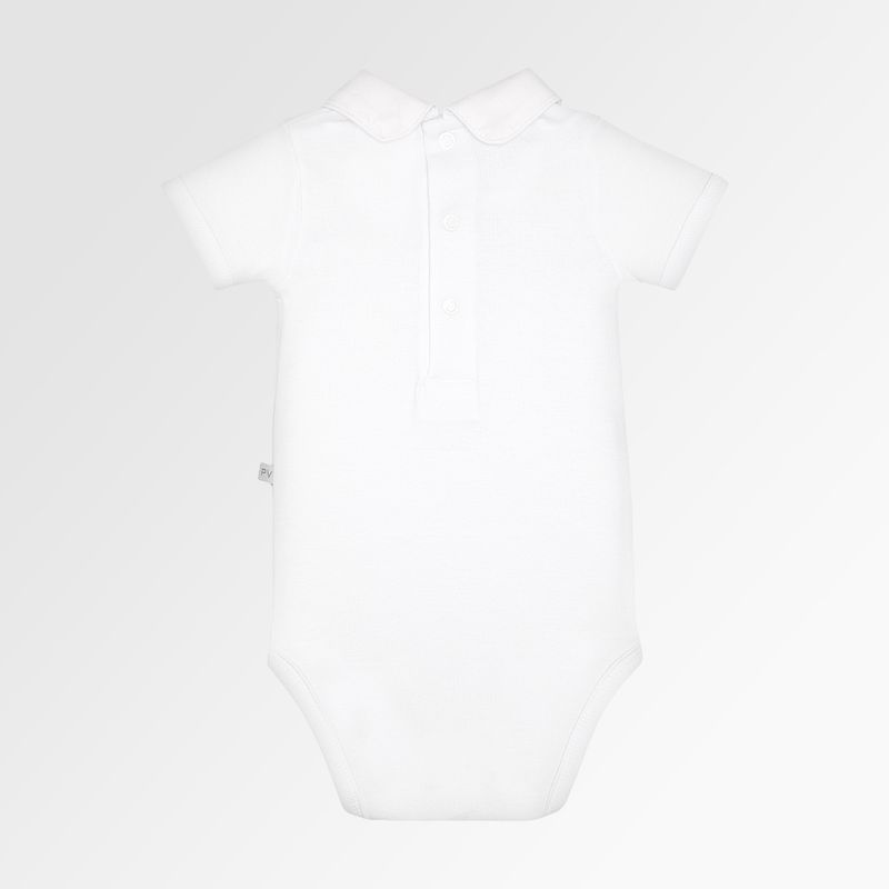 09010118_1010_3-BODY-CANELADO-ALG-EGIP-MG-C-GOLA-URSO