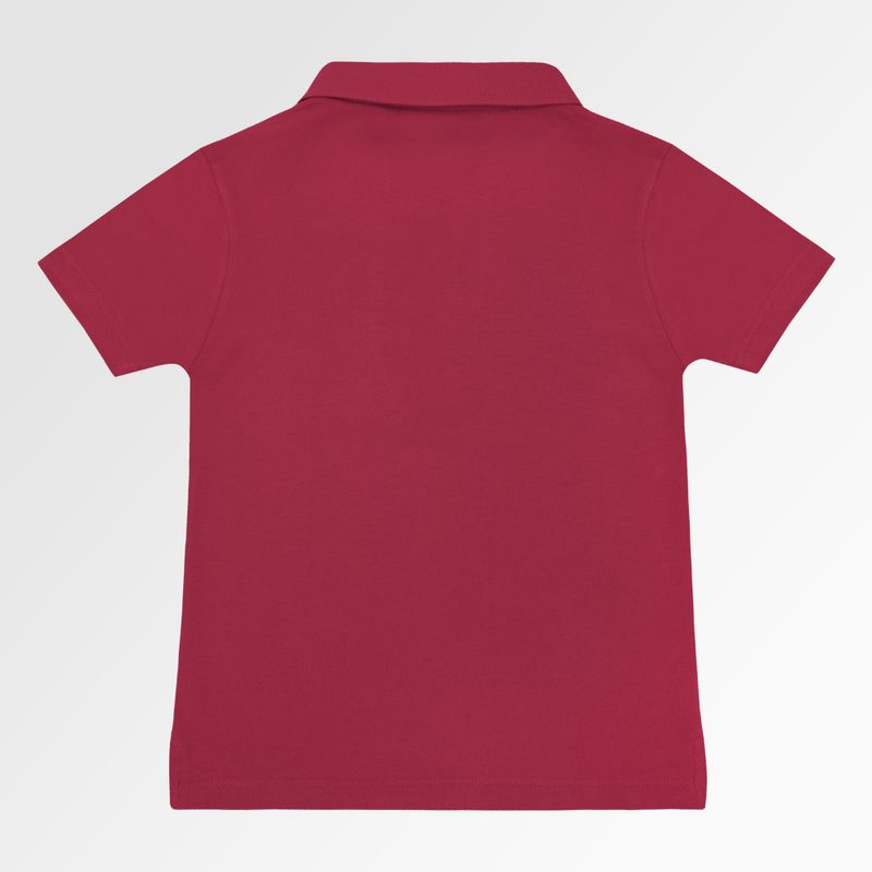 02010974_1018_3-CAMISETA-PIQUET-CONFORTO-MG-C-C-LEAO-VRM