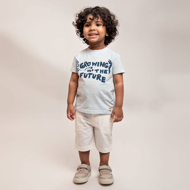 02021103_1023_1-CAMISETA-BB-M-LINHO-C-ESTAMP-GROWING-AZ