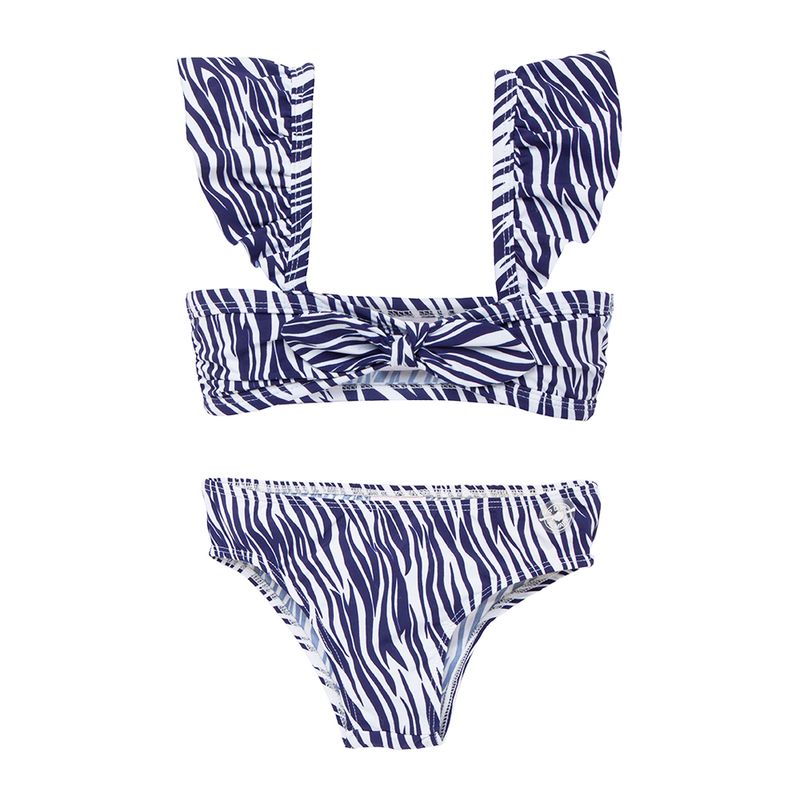 06010032_1015_2-BIQUINI-ACQUA-FIT-ESTAMP-ZEBRA-AZM