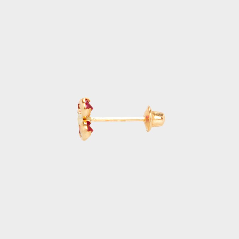11010096_1018_2-BRINCO-ZIRCONIA-LAPID-4-CXS-25MM-B1536
