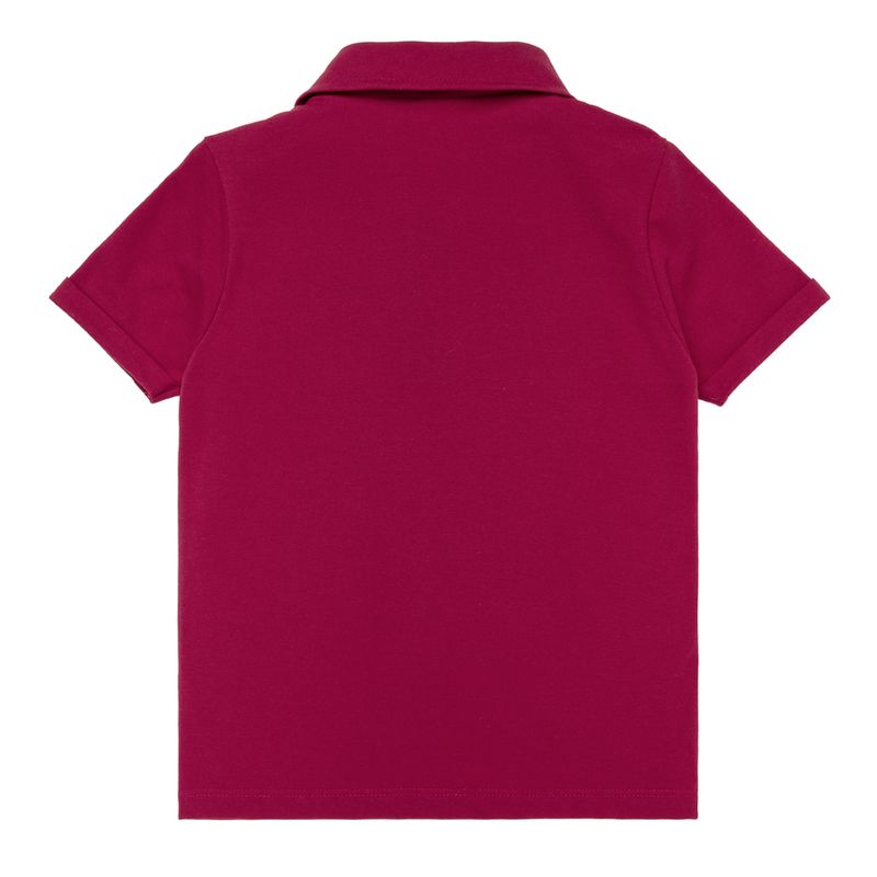 02010889_1018_4-CAMISETA-POLO-PIQUET-PREMIUM-VRM