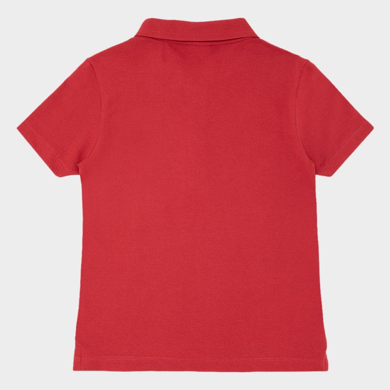 02011063_1018_3-CAMISETA-POLO-PIQUET-PIMA-C-APLIC-VRM